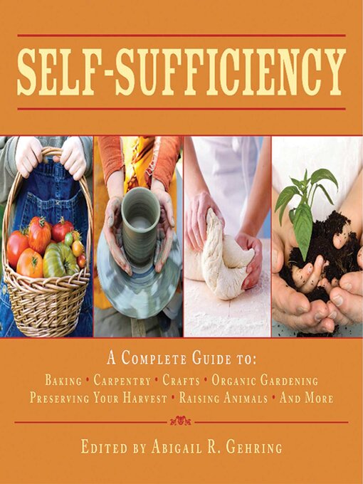 Title details for Self-Sufficiency by Abigail Gehring - Wait list